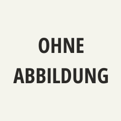 Eckpfosten (FP) verzinkt, Vierkantscheibe, Kunststoffkappe